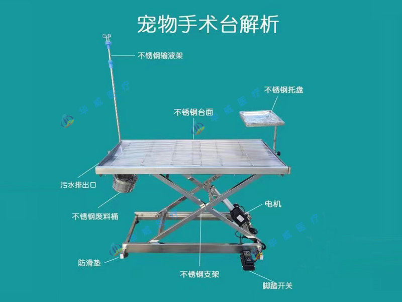 寵（chǒng）物手術台